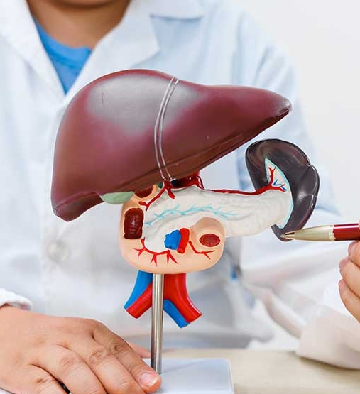 Liver Treatment